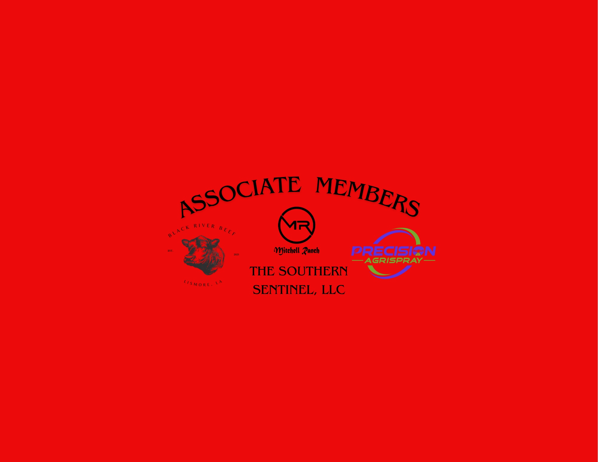 Associate Members 